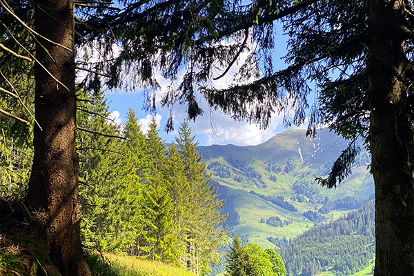 Nature